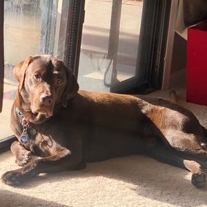 Meet your Posher, Wendy